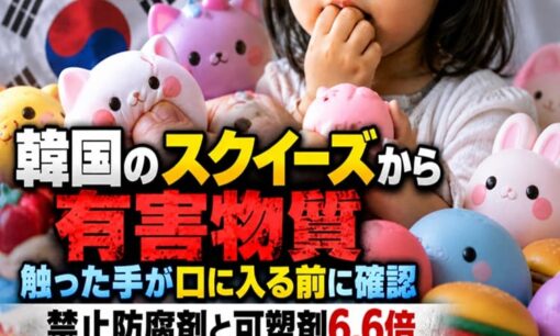 韓国のスクイーズから有害物質　触った手が口に入る前に確認  禁止防腐剤と可塑剤6.6倍
