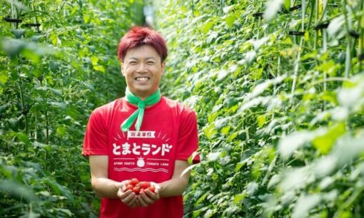 渥美半島とまとランド、農家の仕事場を地域に開く 田原市で「トマトライ部」始動