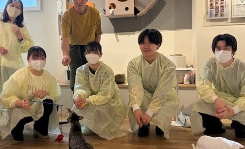 フルキャット、保護猫カフェ×ペット専門学校の産学連携 仙台で出張実習始動