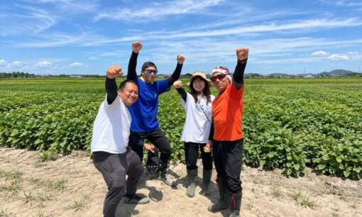 バリュープランニング、さつまいもで淡路島を元気に 神戸のアパレル企業が新規事業